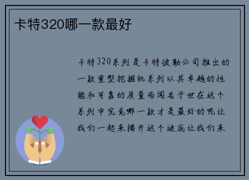 卡特320哪一款最好